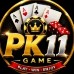 PK11 Game