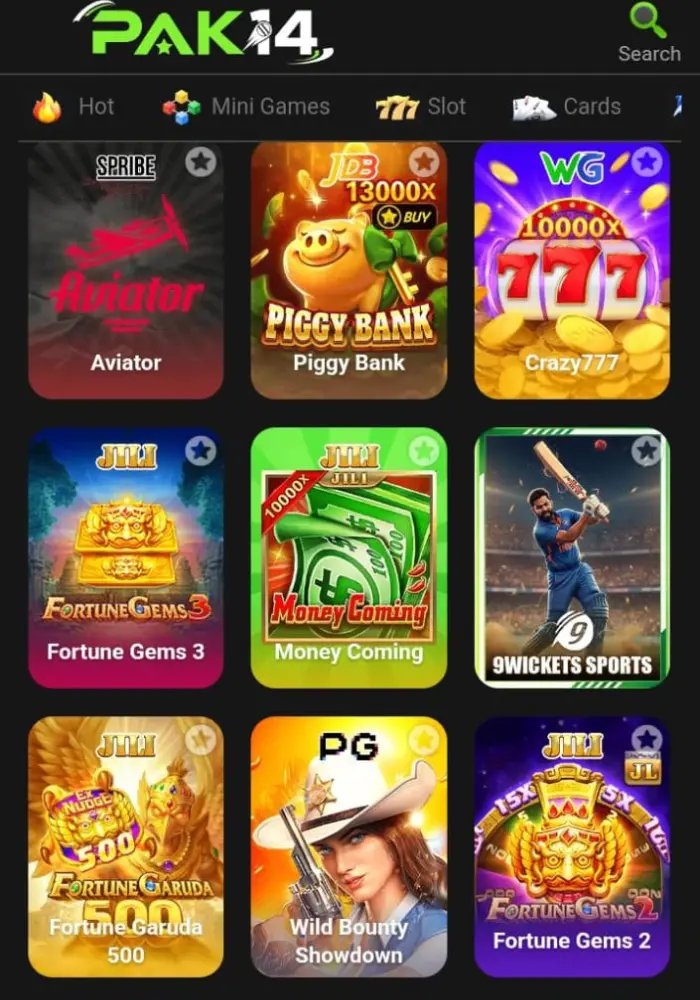 PAK14 Game